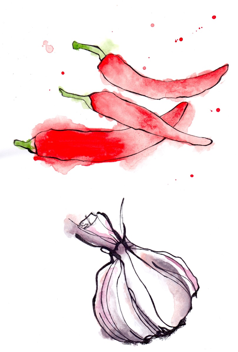 Chilli and Garlic watercolour copy